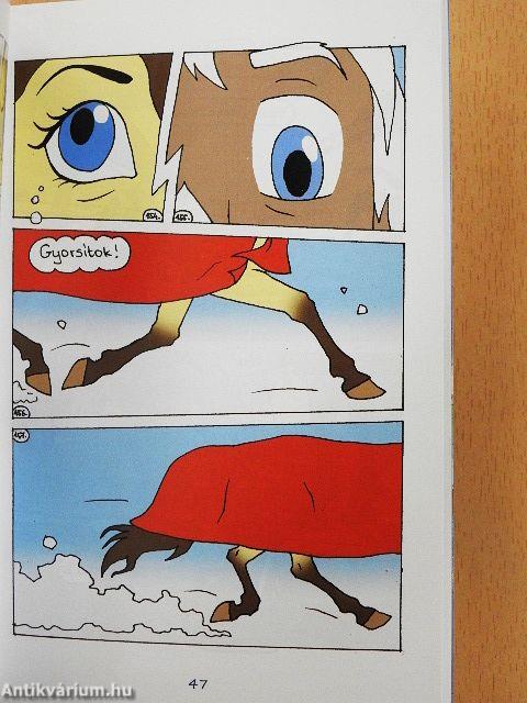 Hókavölgy 9. - Még nincs itt a hó vége