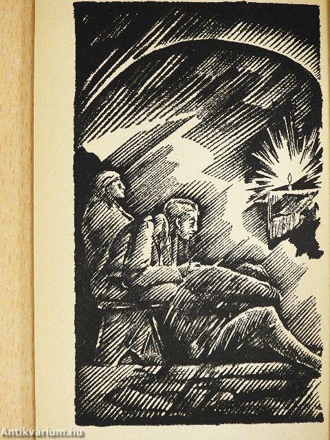 Tizenkét csillagú korona