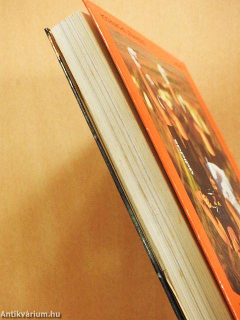 A futás csodálatos világa