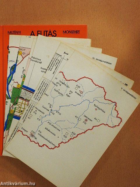 A futás csodálatos világa