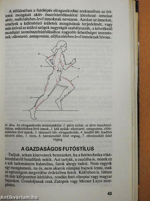 A futás csodálatos világa