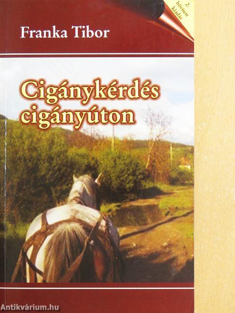 Cigánykérdés cigányúton