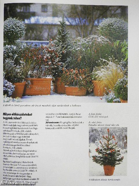 Így zöldellnek és virítanak legszebben a balkon- és dézsás növények