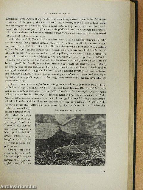 Brehm - Az állatok világa I-IV.