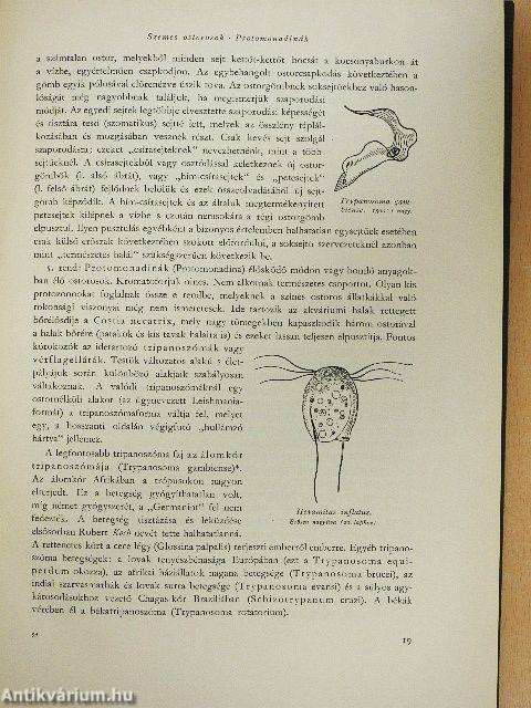 Brehm - Az állatok világa I-IV.
