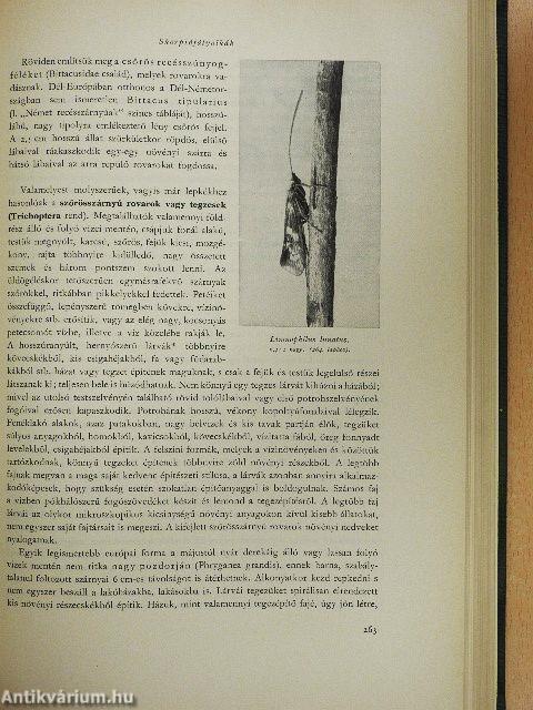 Brehm - Az állatok világa I-IV.