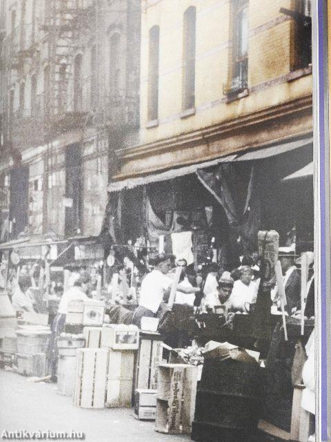 Költészet - A versek esztétikája