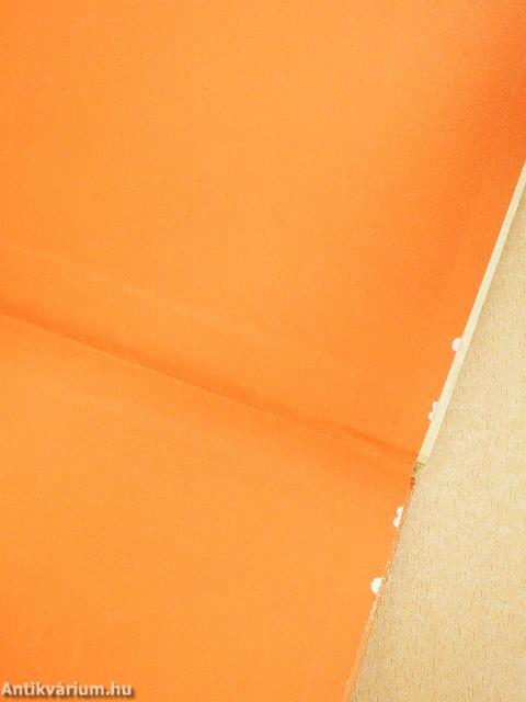 Kedvencem, az aranyhörcsög