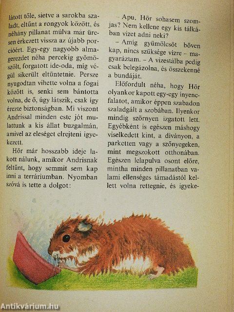 Kedvencem, az aranyhörcsög