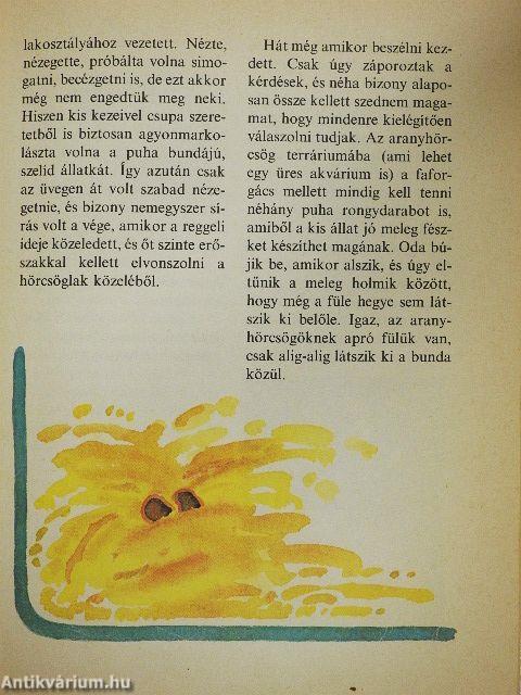 Kedvencem, az aranyhörcsög