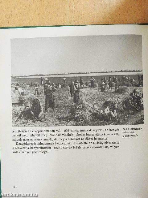 Több nap, mint kolbász