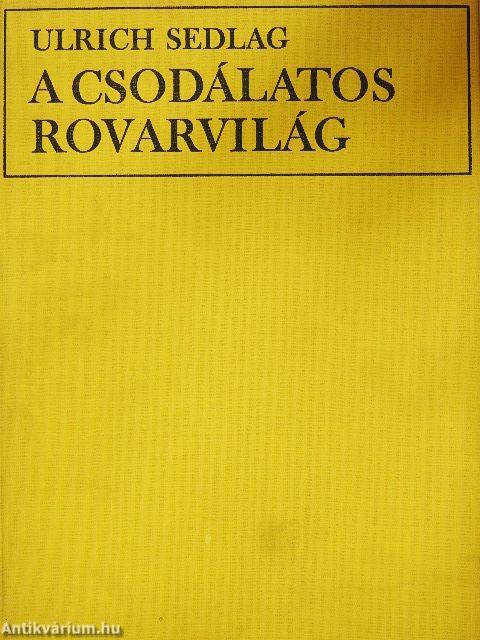 A csodálatos rovarvilág