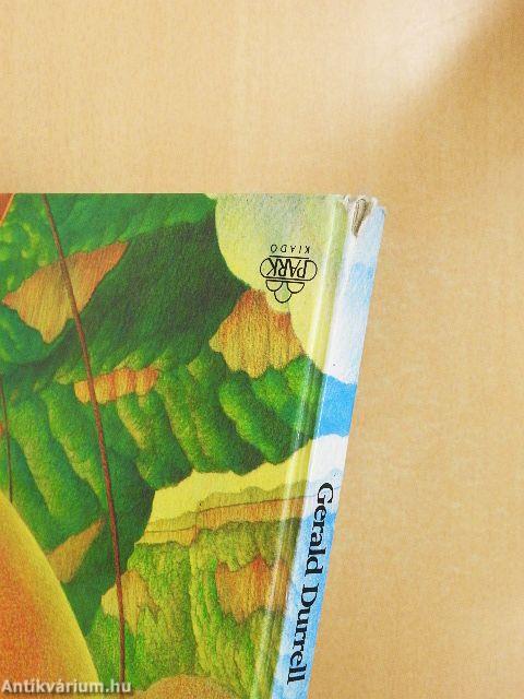 Léghajóval a világ körül