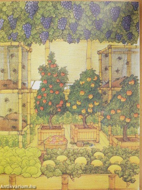 Léghajóval a világ körül