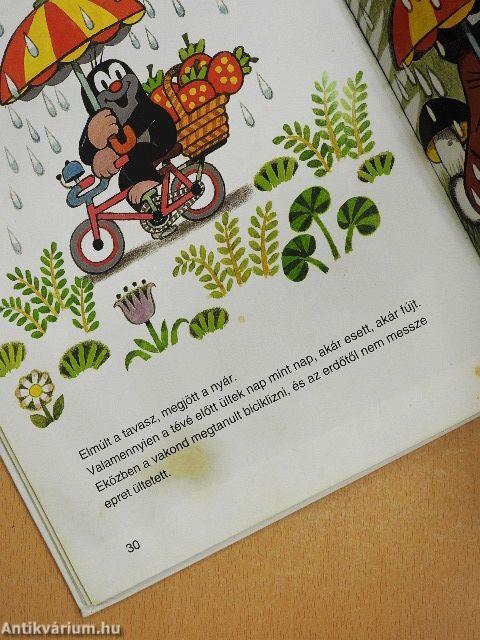 Vakond és a televízió