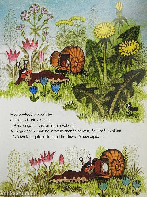 Vakond és a televízió