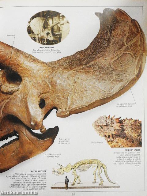 A dinoszaurusz