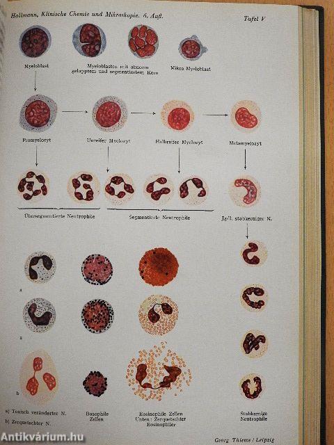 Klinische Chemie und Mikroskopie