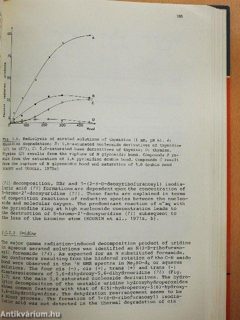 Effects of Ionizing Radiation on DNA