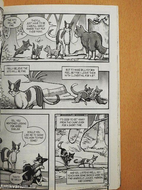 Warriors: SkyClan & the Stranger 3.