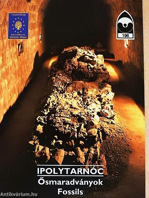 Ipolytarnóc - Ősmaradványok