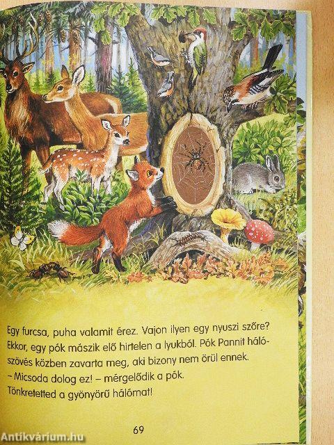 Bújócska árkon-bokron át