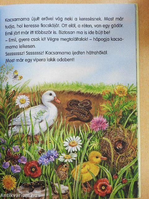 Bújócska árkon-bokron át