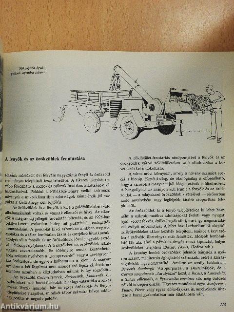 A zöldfelületek fenntartása