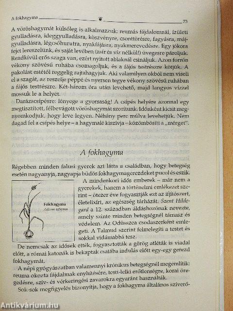 Lajos atya tanácsai