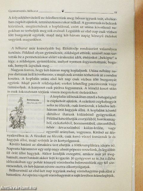 Lajos atya tanácsai