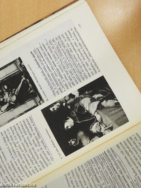 A reneszánsz világa