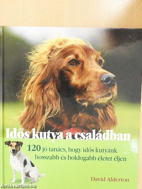 Idős kutya a családban