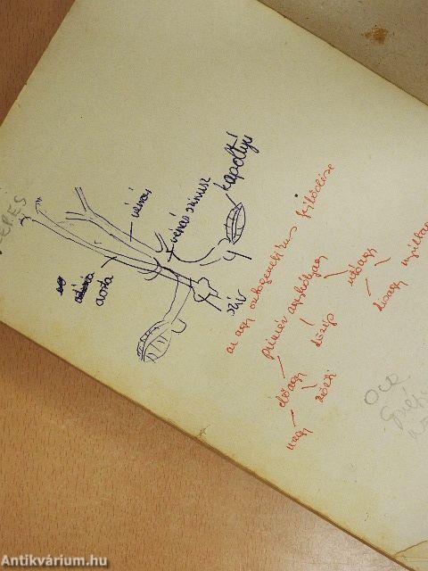 Állatszervezettan és állatélettan