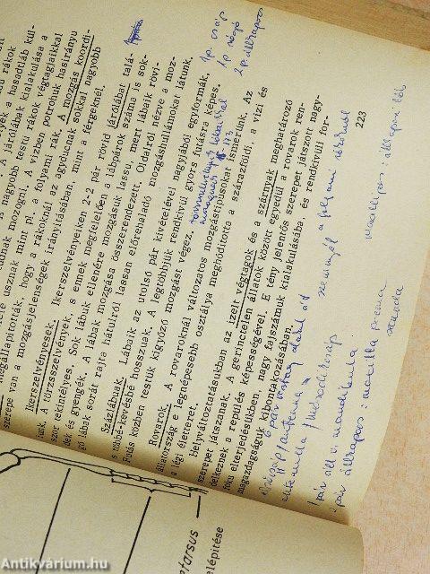 Állatszervezettan és állatélettan