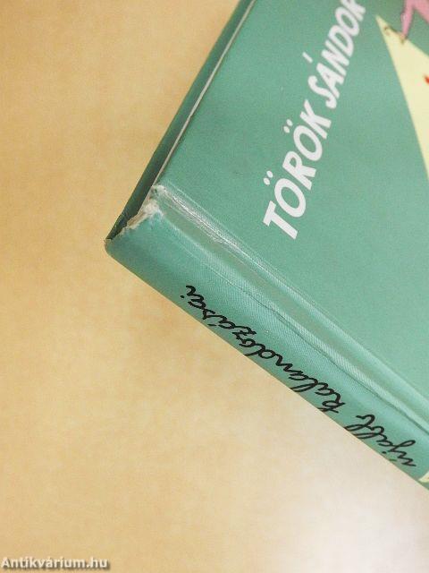 Kököjszi és Bobojsza újabb kalandozásai