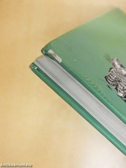 Kököjszi és Bobojsza újabb kalandozásai