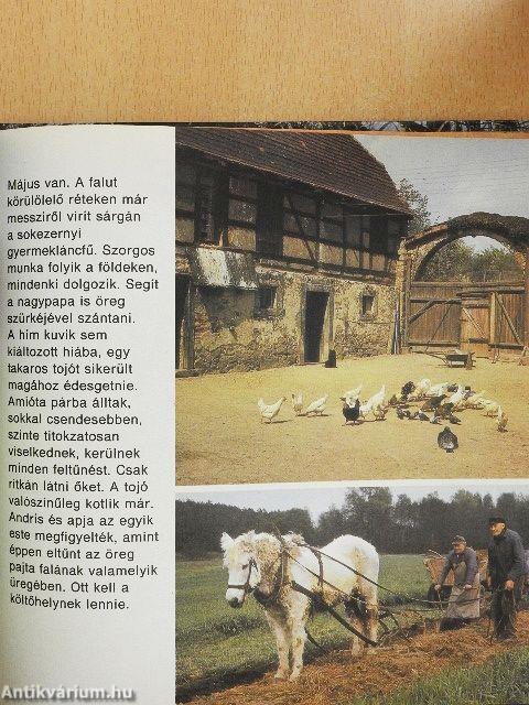 Nesztelen szárnyakon