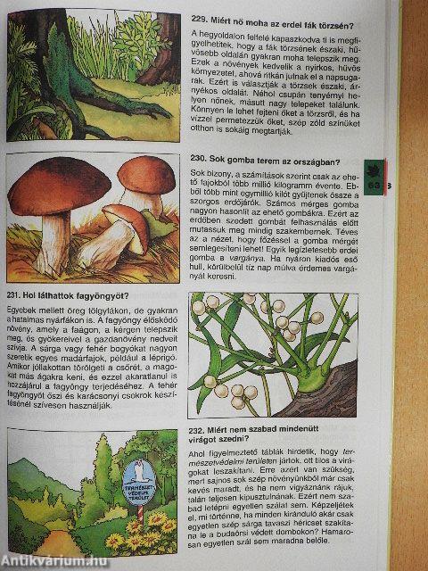 Minden napra egy kérdés