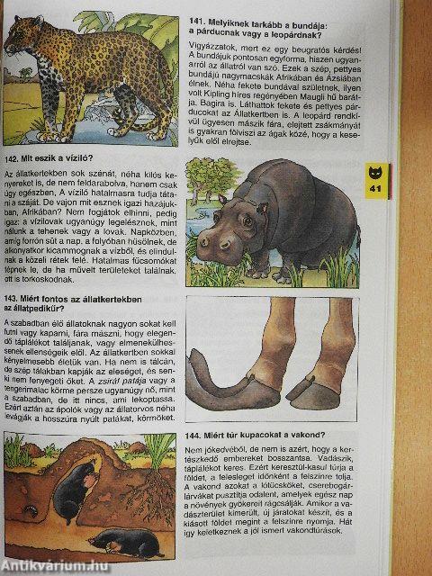 Minden napra egy kérdés