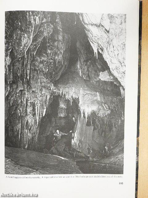 Szerelmetes barlangjaim