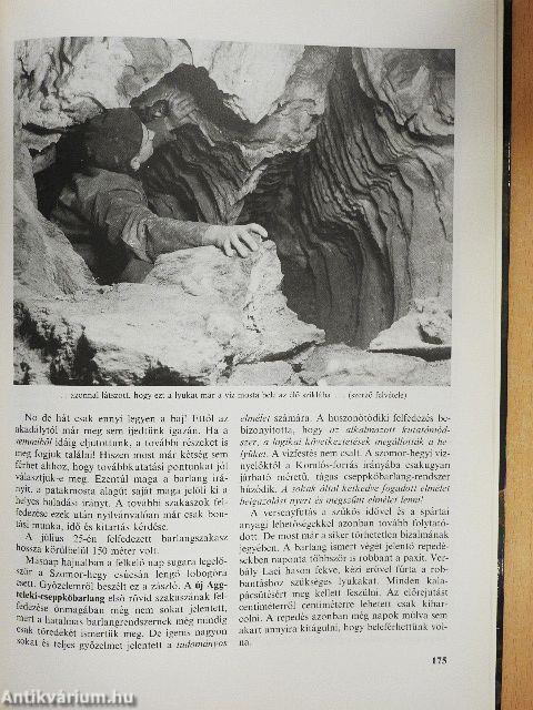 Szerelmetes barlangjaim