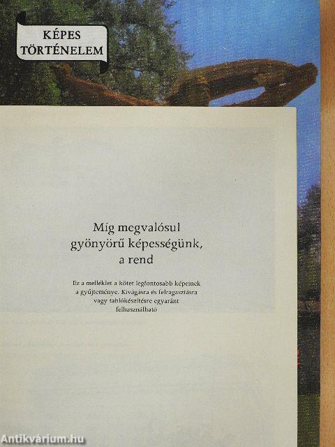 Míg megvalósul gyönyörű képességünk a rend