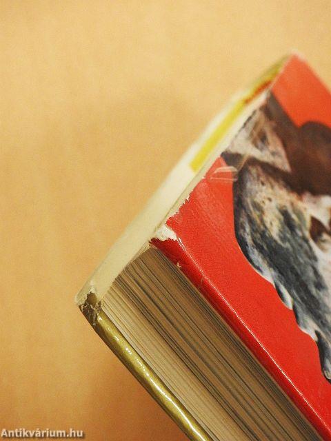 De l'Olympe au Forum