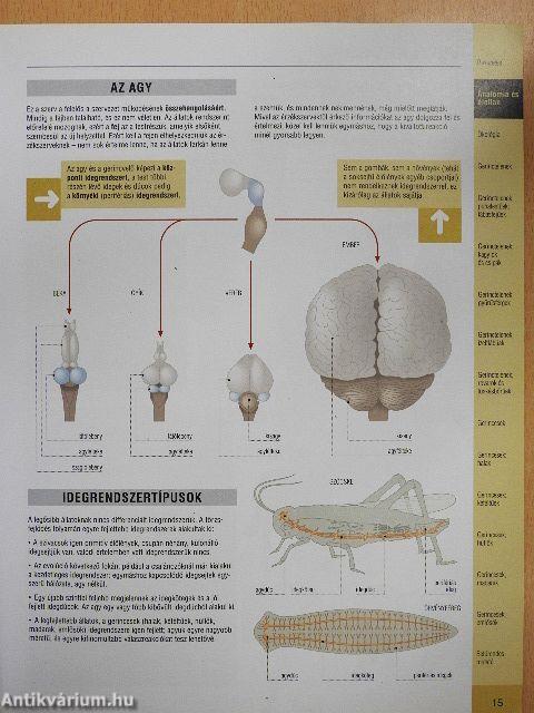 Zoológiai atlasz