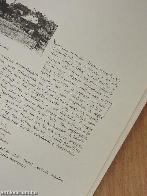 A magyar nép művészete I.