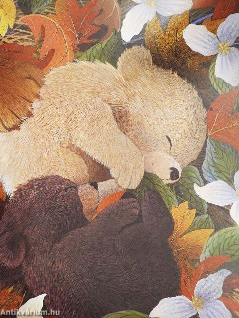 Merre vagy, kismackó?