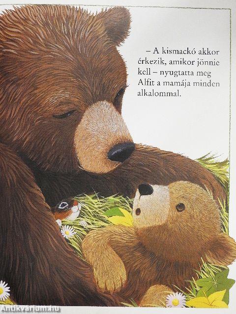 Merre vagy, kismackó?