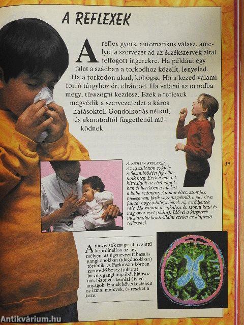 Az emberi test enciklopédiája II.