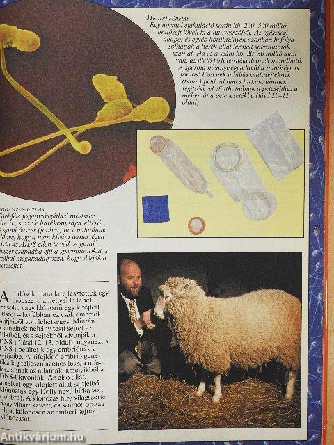 Az emberi test enciklopédiája II.