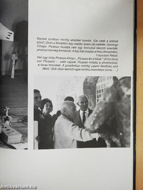 Barátom, Picasso